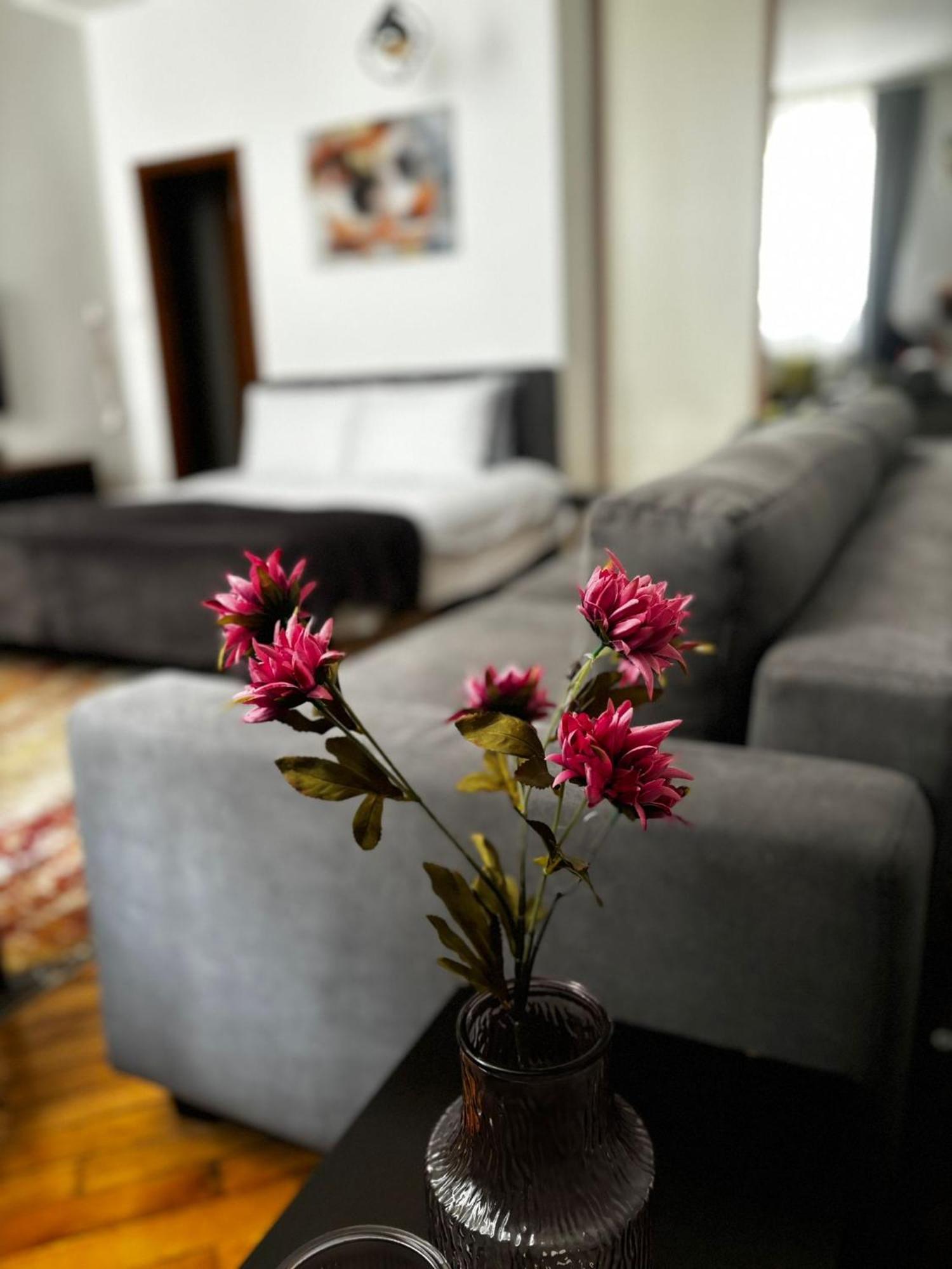 Apartment Mila Сараево Экстерьер фото